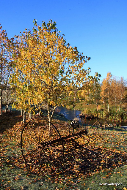 Autumn Frost and sunshine