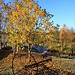 Autumn Frost and sunshine