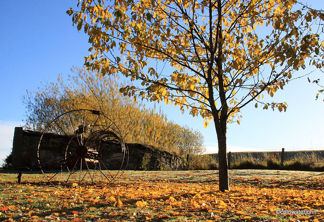 Autumn Frost and sunshine