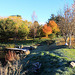 Autumn Frost and sunshine