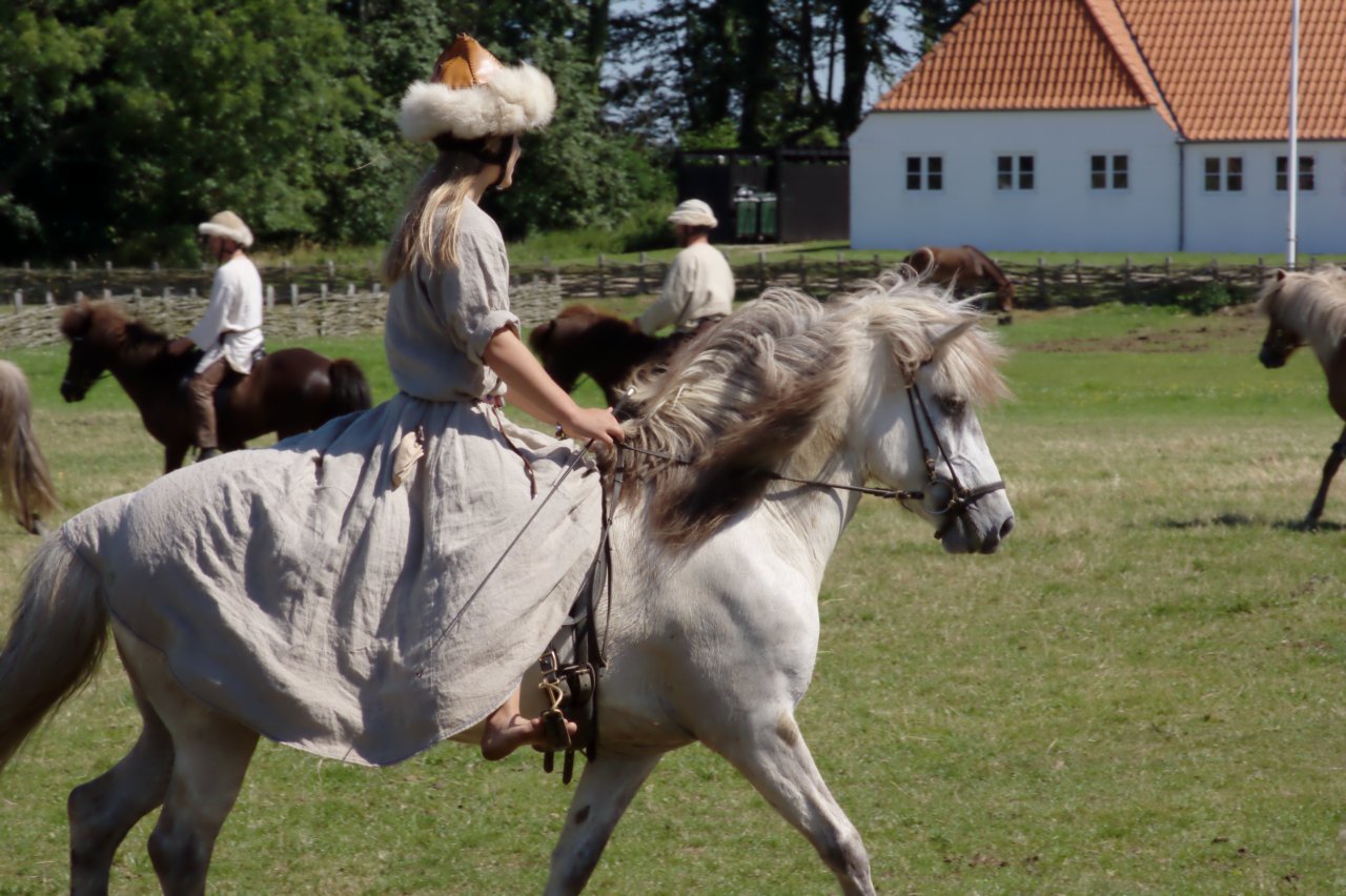 Ribe Vikingcenter