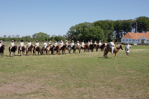 Ribe Vikingcenter