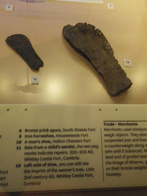 Great north Museum - Equipement 2 : semelles