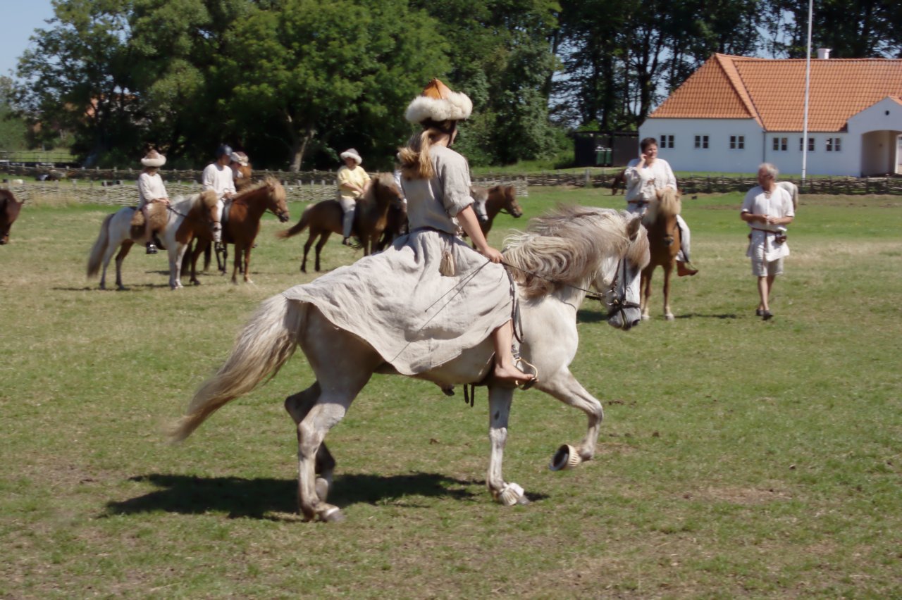 Ribe Vikingcenter