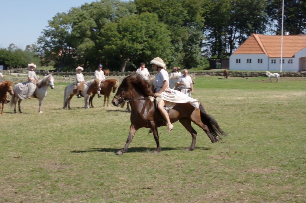 Ribe Vikingcenter