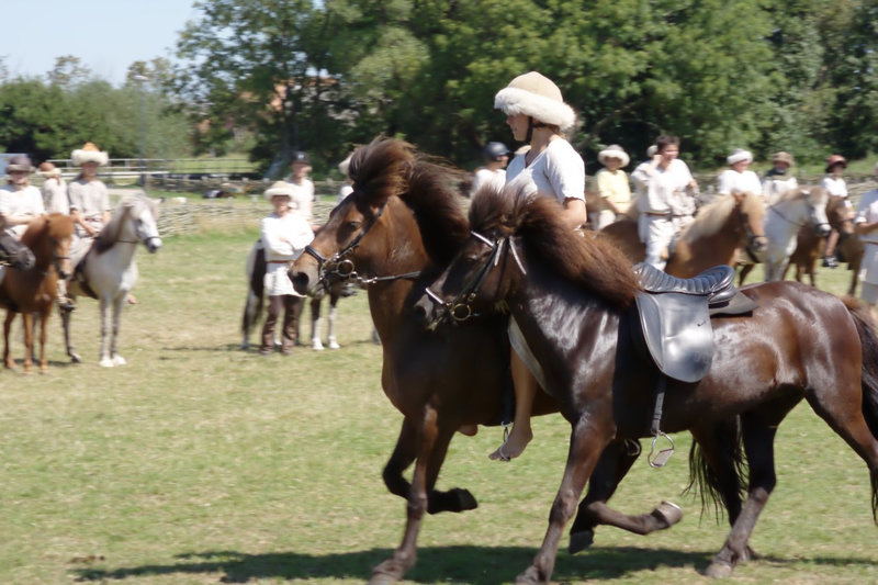 Ribe Vikingcenter