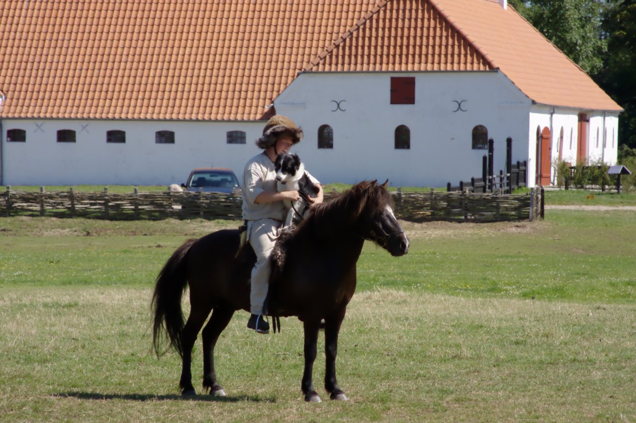 Ribe Vikingcenter