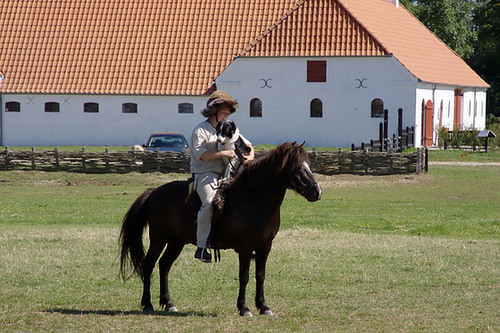 Ribe Vikingcenter