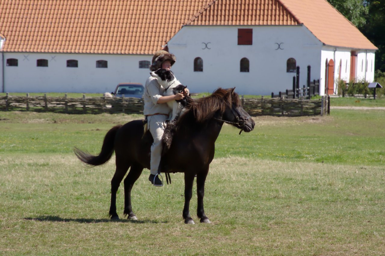 Ribe Vikingcenter