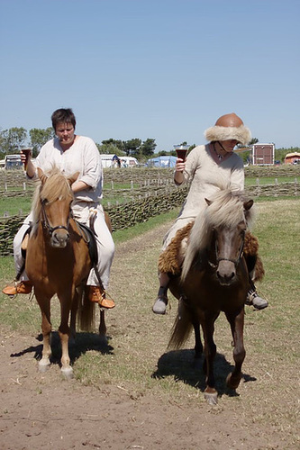 Ribe Vikingcenter