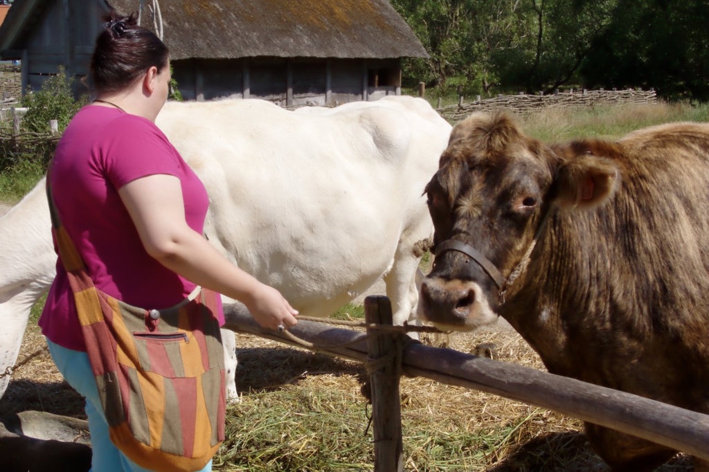 Ribe Vikingcenter