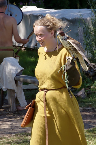 Ribe Vikingcenter - Falconry demonstration