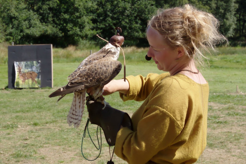 Ribe Vikingcenter - Falconry demonstration