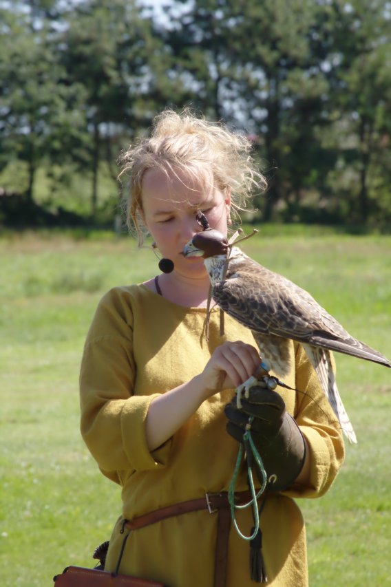 Ribe Vikingcenter - Falconry demonstration