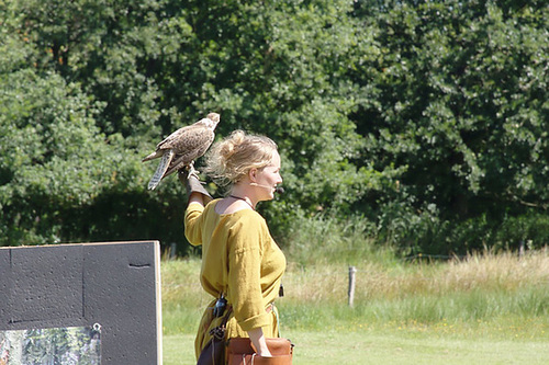 Ribe Vikingcenter - Falconry demonstration