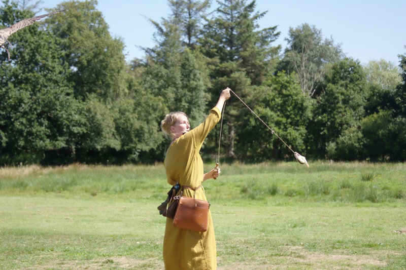 Ribe Vikingcenter - Falconry demonstration