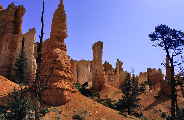 In the awesome Bryce Canyon