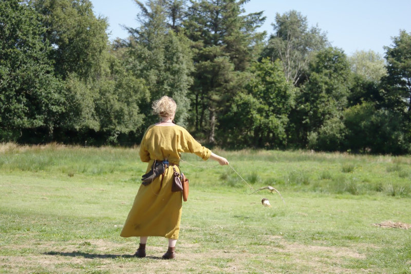 Ribe Vikingcenter - Falconry demonstration