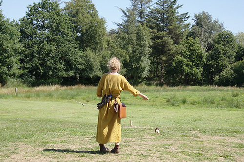 Ribe Vikingcenter - Falconry demonstration