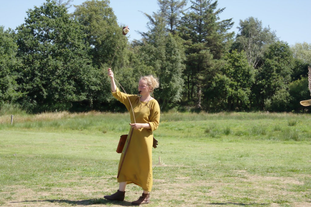 Ribe Vikingcenter - Falconry demonstration