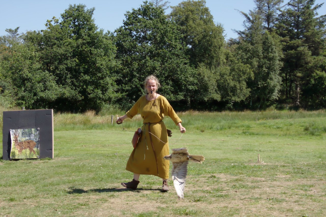 Ribe Vikingcenter - Falconry demonstration