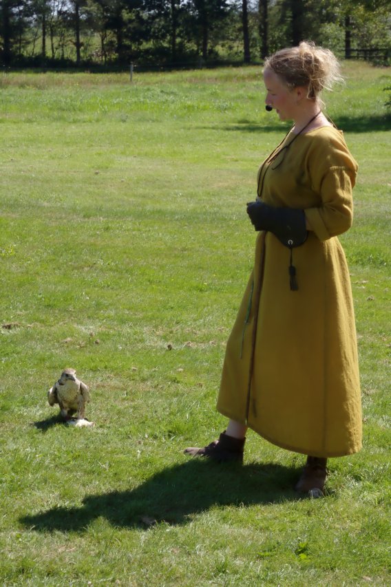 Ribe Vikingcenter - Falconry demonstration