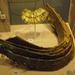 Great North Museum - équipement : fragments de cuirasse