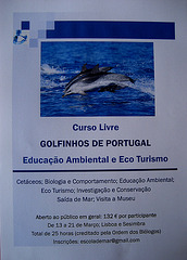 School of Sea, Open Course on Dolphins from Portugal, 13 - 21 March, 2009
