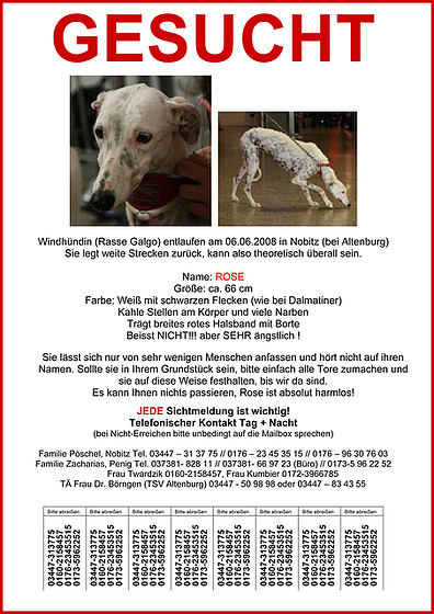Rose gesucht