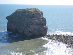 Marsden rock, 1