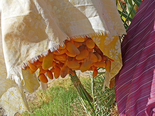 China Ranch Dates Under Wraps (1553)