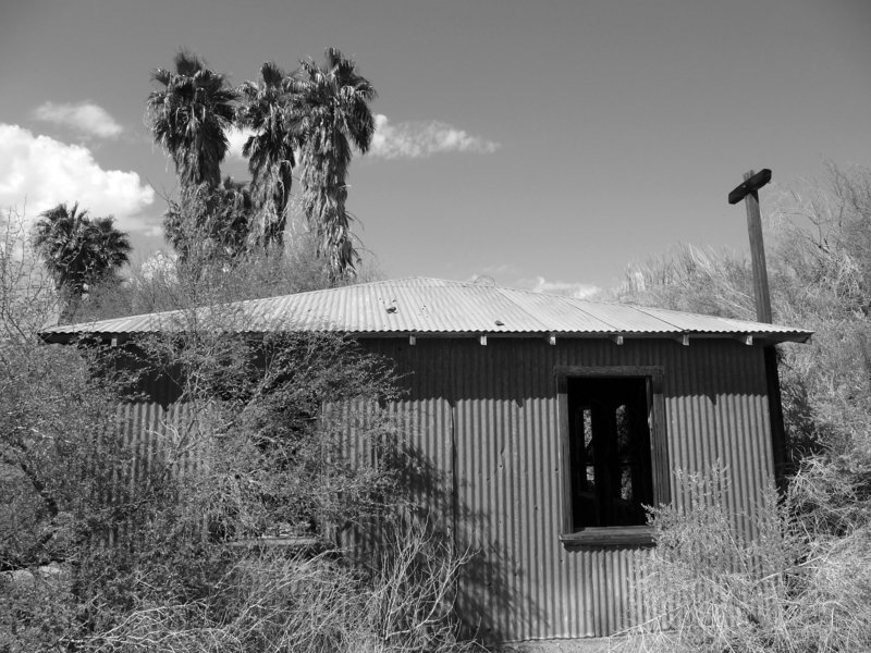 Ibex Springs - Death Valley (1571)