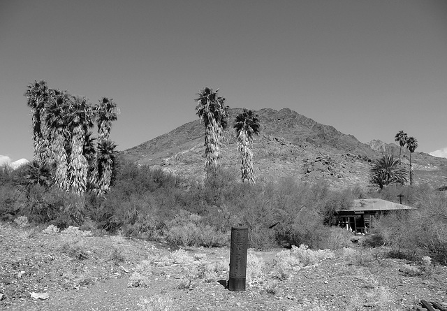 Ibex Springs - Death Valley (1573)