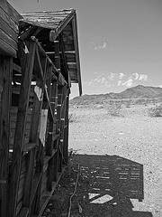 Ibex Springs - Death Valley (1577)