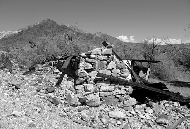 Ibex Springs - Death Valley (1582)