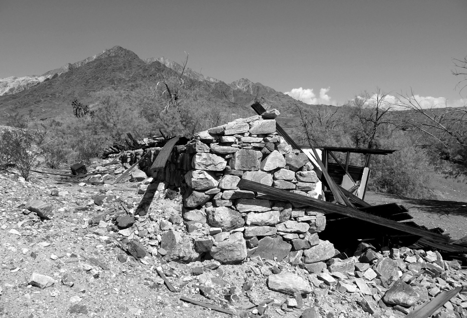 Ibex Springs - Death Valley (1582)