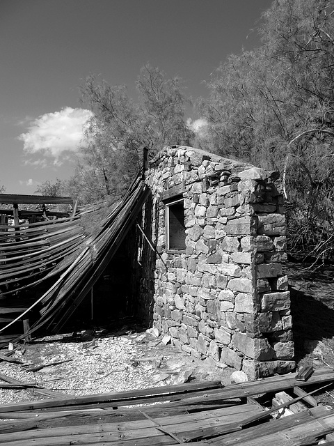 Ibex Springs - Death Valley (1584)