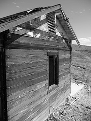 Ibex Springs - Death Valley (1588)