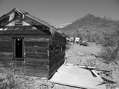 Ibex Springs - Death Valley (1589)