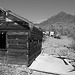 Ibex Springs - Death Valley (1589)