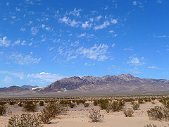 Ibex Mine Area - Death Valley (1599)