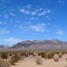 Ibex Mine Area - Death Valley (1599)