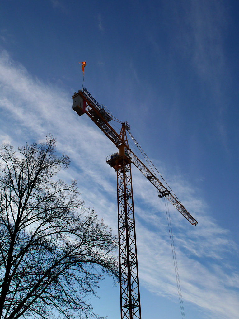 Grue-0519