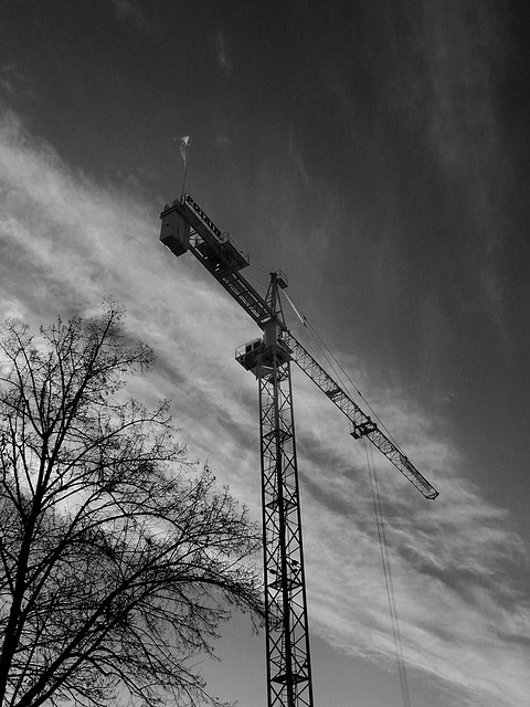 Grue-0519