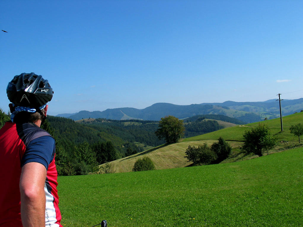 Blick in den Schwarzwald