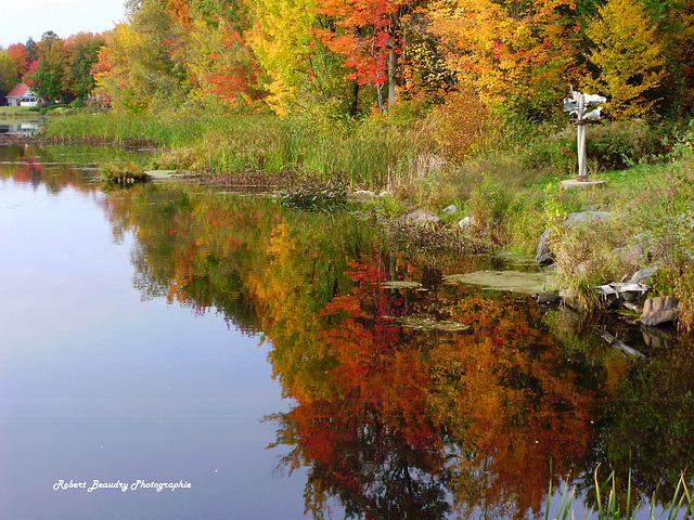 Le reflet de mes couleurs