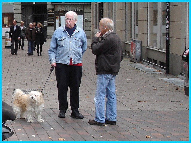 Young elder Swedish men duo and dog