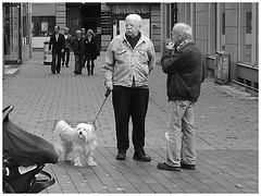 B- YOUNG elder Swedish men duo and dog