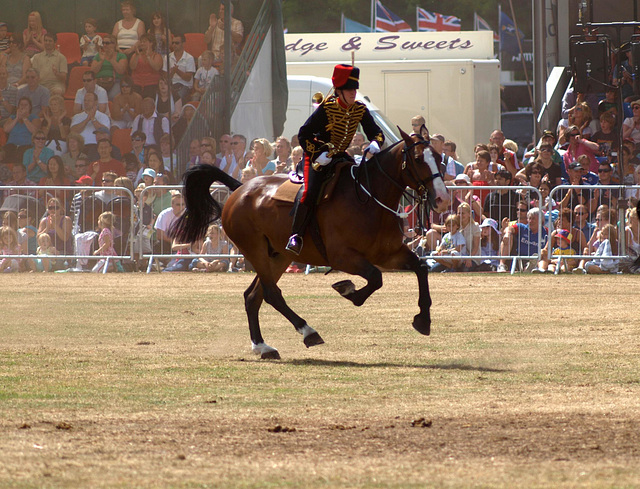 Musical Drive Kings Troop Royal Horse Artillery 21