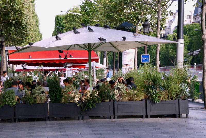 Terrasse à tous les étages